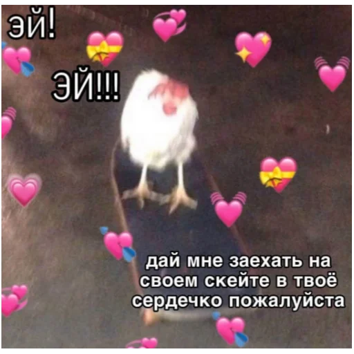 screenshot text bird