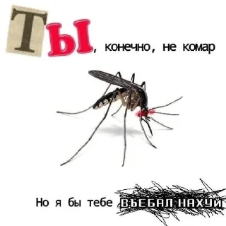 Стикер делала ксюня - 1