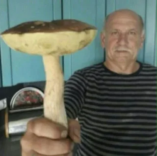 Стикер Сохра - 3