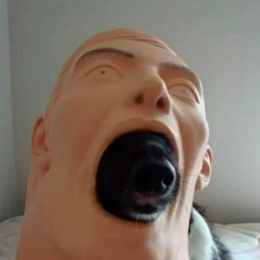 Человек комнатный селфи