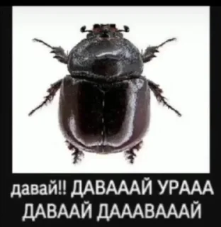 Sticker что-то - 6