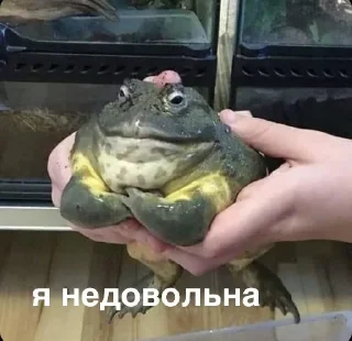 Sticker что-то - 10