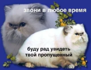 Sticker что-то - 2