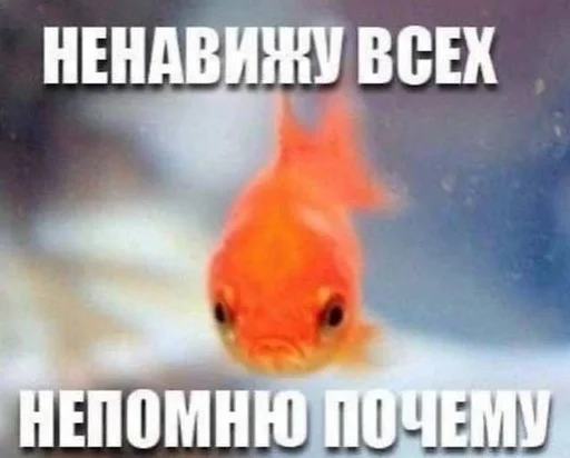 Стикер idkjay34 - 1