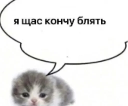 Стикер idkjay34 - 1