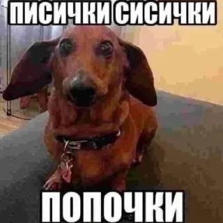 Sticker Я НЕ ЗНАЮ - 3