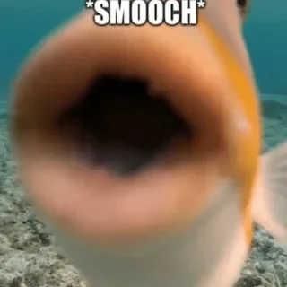 Sticker Я НЕ ЗНАЮ - 11