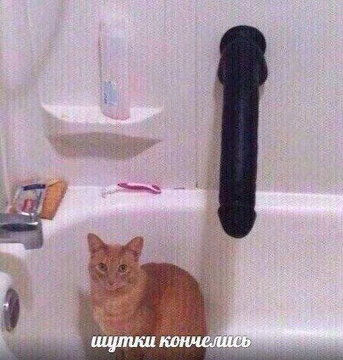 Стикер idontwantsearch - 1