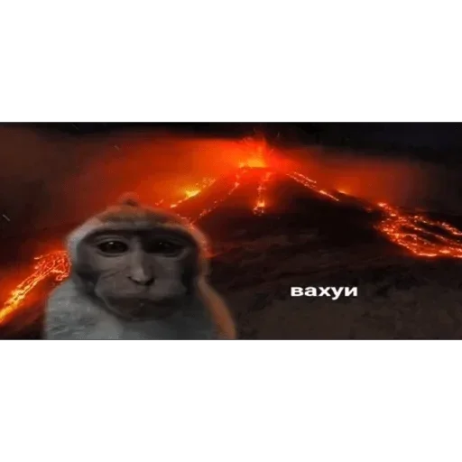 Sticker ifSUlFxJdZvZR_by_stickers_stealer_bot - 1