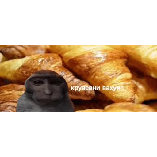 Sticker ifSUlFxJdZvZR_by_stickers_stealer_bot - 1