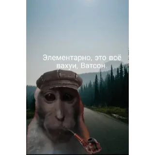 Sticker Больше стикеров: @sticerru - 5