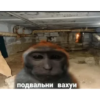 Sticker Больше стикеров: @sticerru - 7