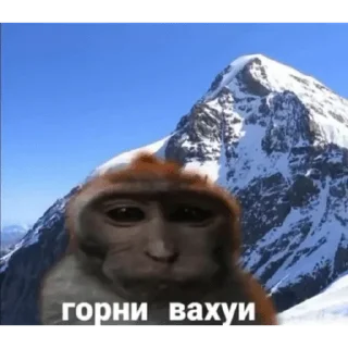 Sticker Больше стикеров: @sticerru - 6