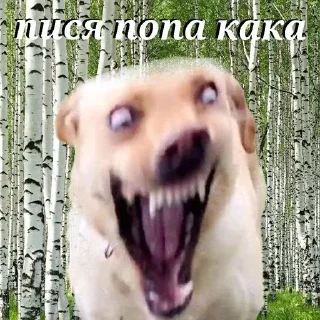 Стикер Хуета - 10