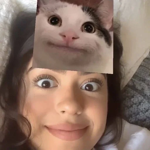 Человек селфи кошки малого и среднего размера