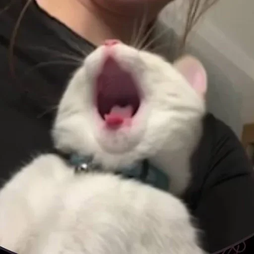 Sticker igFWWAW_by_achestickbot - 1