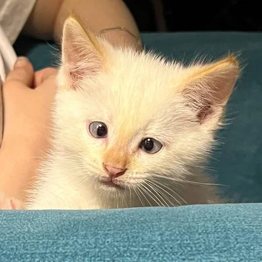 Больше стиков тут: @stikery4 - 