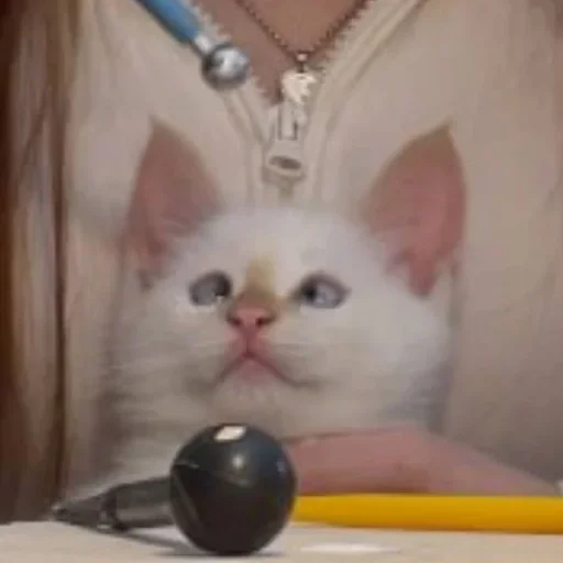 Sticker igFWWAW_by_achestickbot - 1