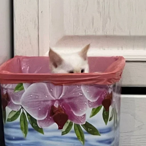 Sticker igFWWAW_by_achestickbot - 1