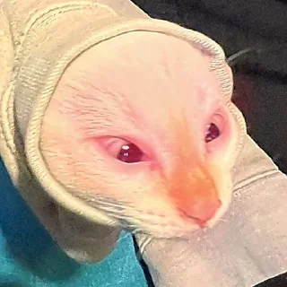 Стикер Больше стиков тут: @stikery4 - 1