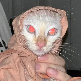 Стикер Больше стиков тут: @stikery4 - 10