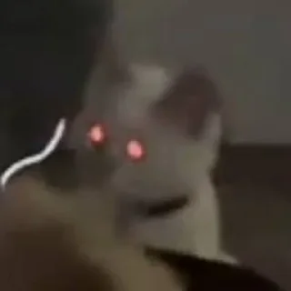 Стикер Больше стиков тут: @stikery4 - 11