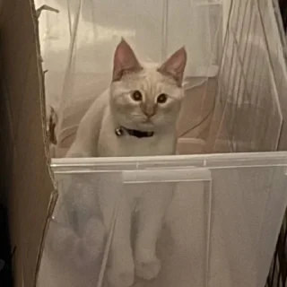 Стикер Больше стиков тут: @stikery4 - 2