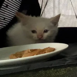 Стикер Больше стиков тут: @stikery4 - 9