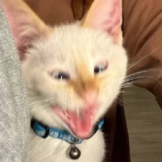 Стикер Больше стиков тут: @stikery4 - 5