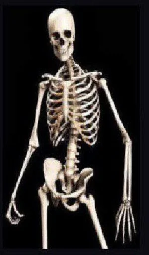 Sticker igiotpack - 1