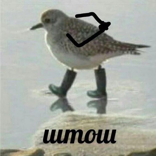 игнорщик_хуже_пидораса - 