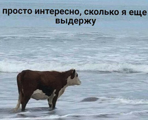 Стикер игнорщик_хуже_пидораса - 0