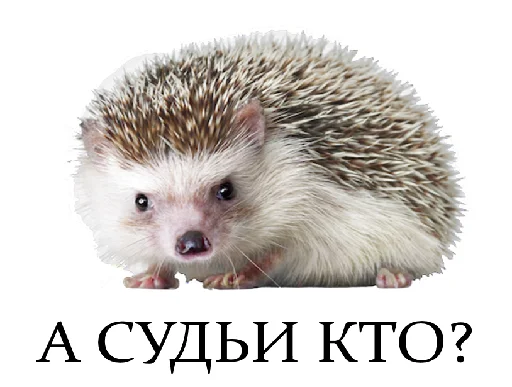 Sticker igor nikolaevich - 9