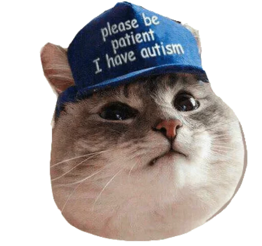 кошки малого и среднего размера кошачьи усы