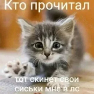 Sticker Лучьше стикеры - @lovesticers - 2