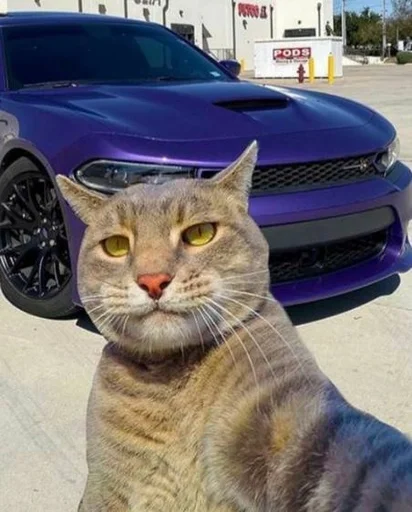 vehicle land vehicle wheel