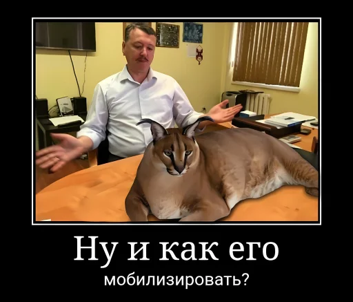 Стикер ii123523421 - 1