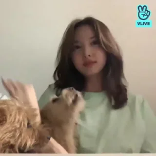 Sticker ぁ — ιм nαуeσn @stikertwice @stikernayeonn - 0