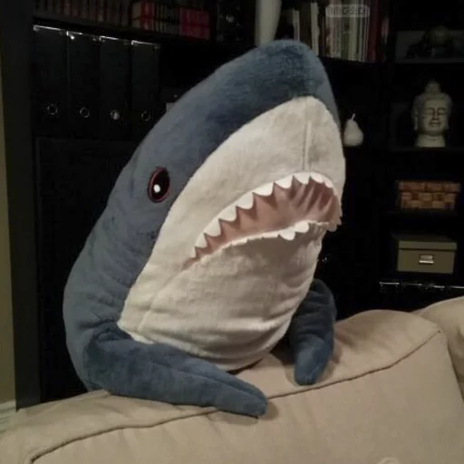 ikeashark @IMG2D - indoor