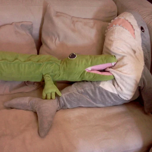 indoor comfort laying