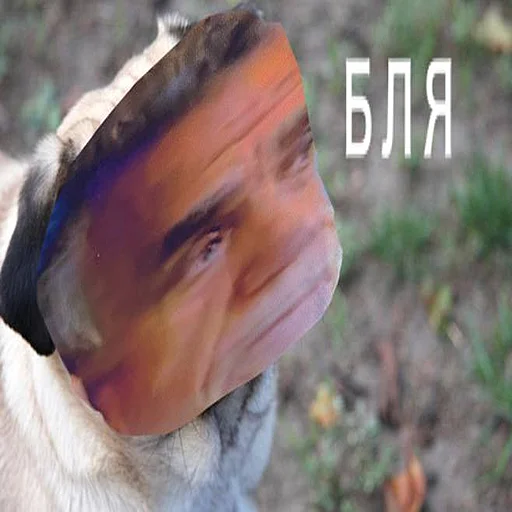 Стикер ік - 3