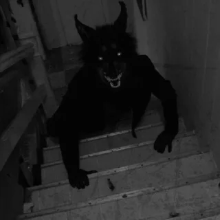 Sticker Больше стикеров 👉🏻 @stickertg4 - 8