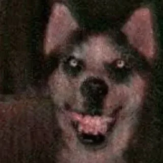 Sticker Больше стикеров 👉🏻 @stickertg4 - 7