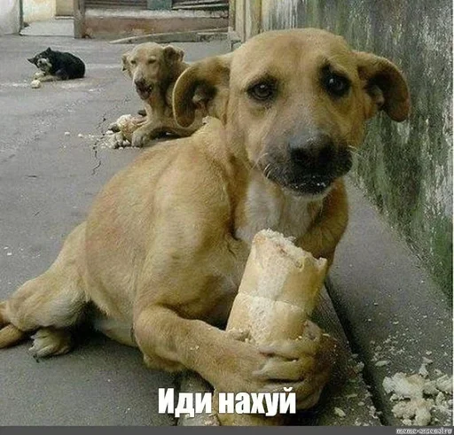 Sticker ilWFXatnpDTiMu_by_stickers_stealer_bot - 1