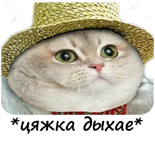 Sticker Пошлый чат > @Anononimuschat_bot - 6