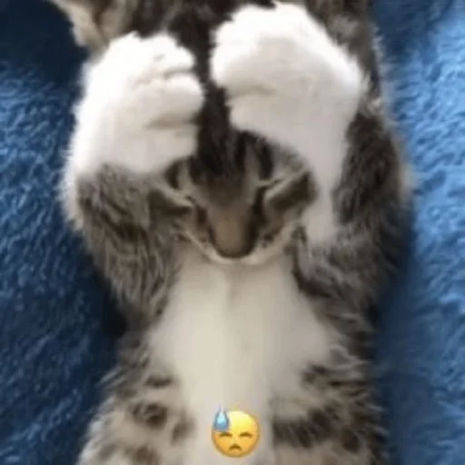 Стикер ilkinboss - 1