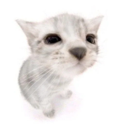 Sticker ilkinboss - 1