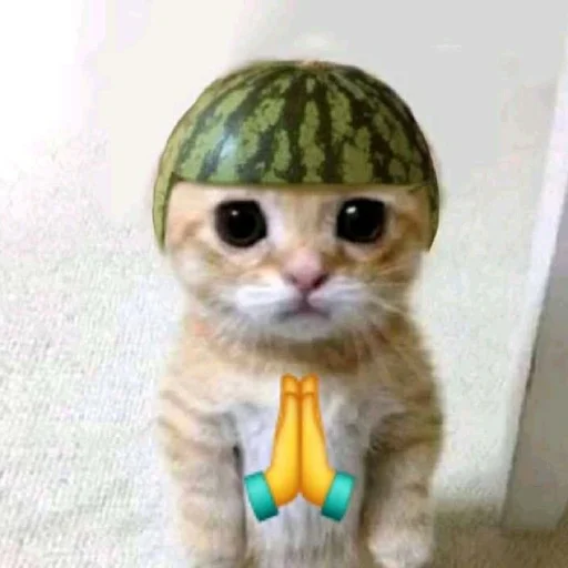 Sticker ilkinboss - 1