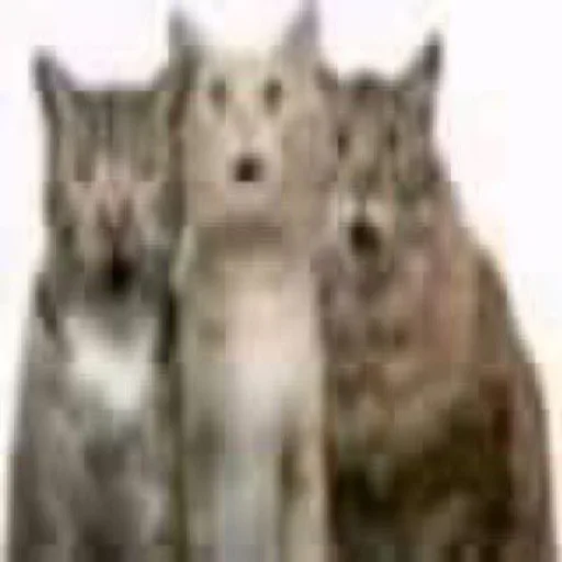 Sticker ilkinboss - 1