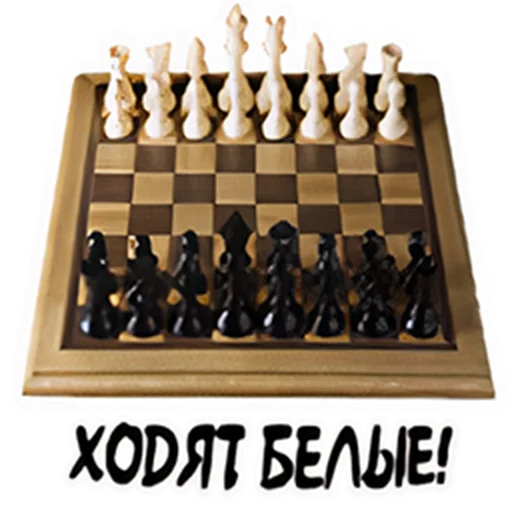 indoor games and sports chessman chess